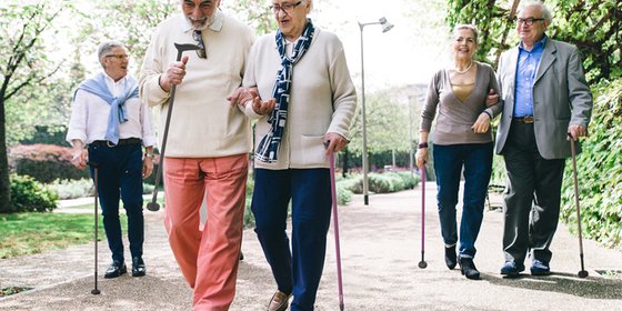 Wandelstokken en krukken